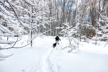 不知名的男人方和他的狗走在雪景中