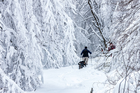 不知名的男人方和他的狗走在雪景中