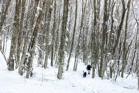 不知名的男人方和他的狗走在雪景中