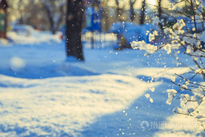 早晨城市公园里的降雪