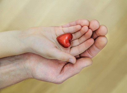 小红色的心是在孩子的手