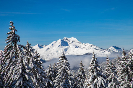 雪白色山脉与树木和蓝蓝的天空图片