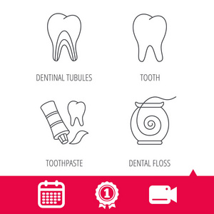 牙 牙本质小管和牙线图标