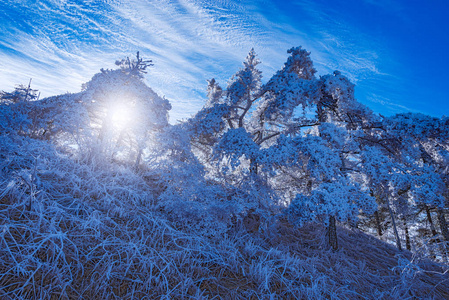 冬季景观黄山国家公园