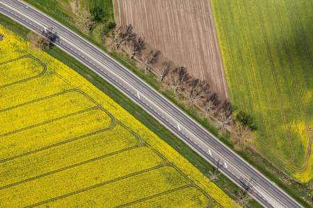 鸟瞰的公路