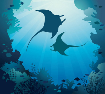 两个鲼的剪影雷游泳刺魟是一种扁平的海洋鱼类.深水鱼 (冰鞋).