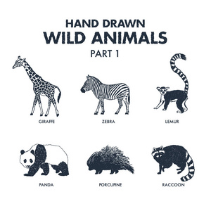 手绘野生动物图标集