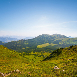 在清晨绿色山山谷风景