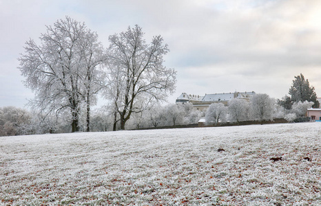 冬季景观与城堡切尔韦尼卡门，斯洛伐克