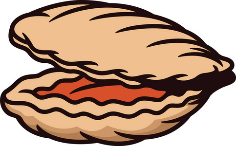 孤立在白色背景上的蛤蜊卡通动物人物照片