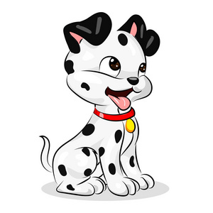 斑点狗可爱的小狗，在白色的背景