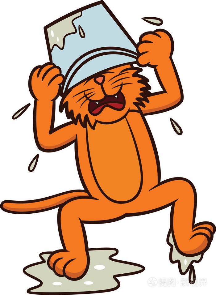 猫头卡通插图上白色孤立桶弄湿