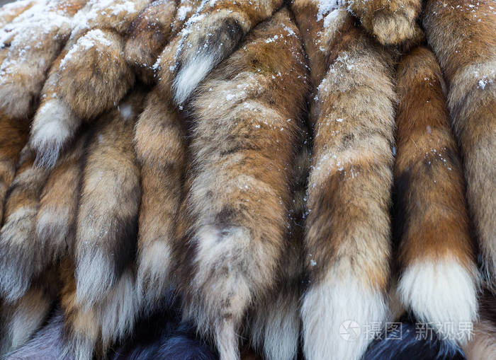 五颜六色的动物毛皮