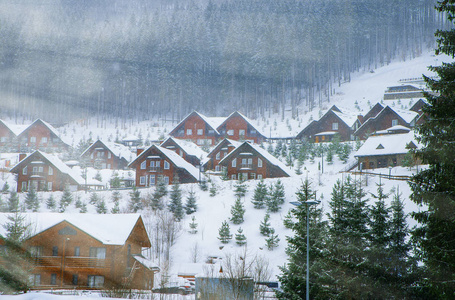 白雪皑皑的绿树环绕的木结构房屋