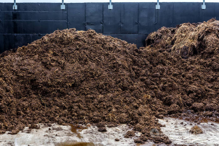 从动物粪便为沼气生产使用的原料