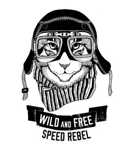 野生猫科动物野生猫变得狂野和自由 t 恤会徽，模板骑自行车，摩托车设计手绘制插图