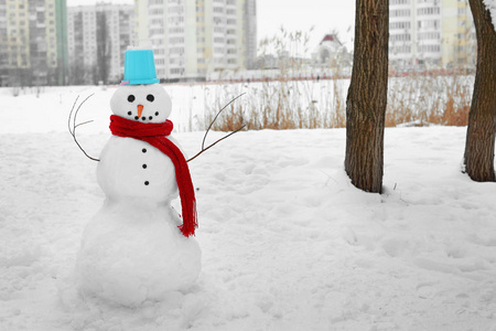 在冬季的圣诞雪人