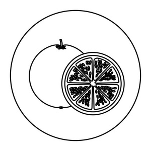 用柠檬水果和切片轮廓圆形形状图片