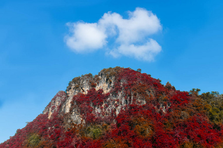 石灰石山与秋天的树和蓝天