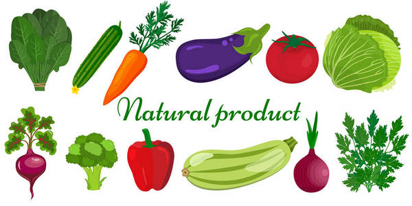 生态食品菜单背景。新鲜的有机食品，健康饮食矢量背景与文本的地方