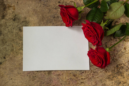 红玫瑰，花瓣和白色空纸上木制的背景