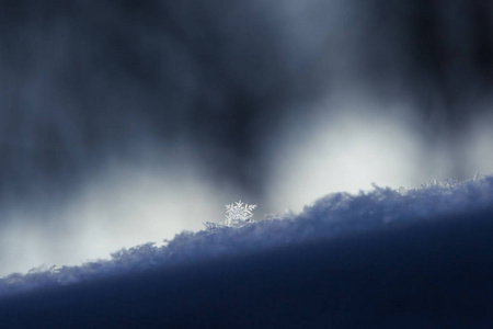 雪花飘落在积雪特写图片