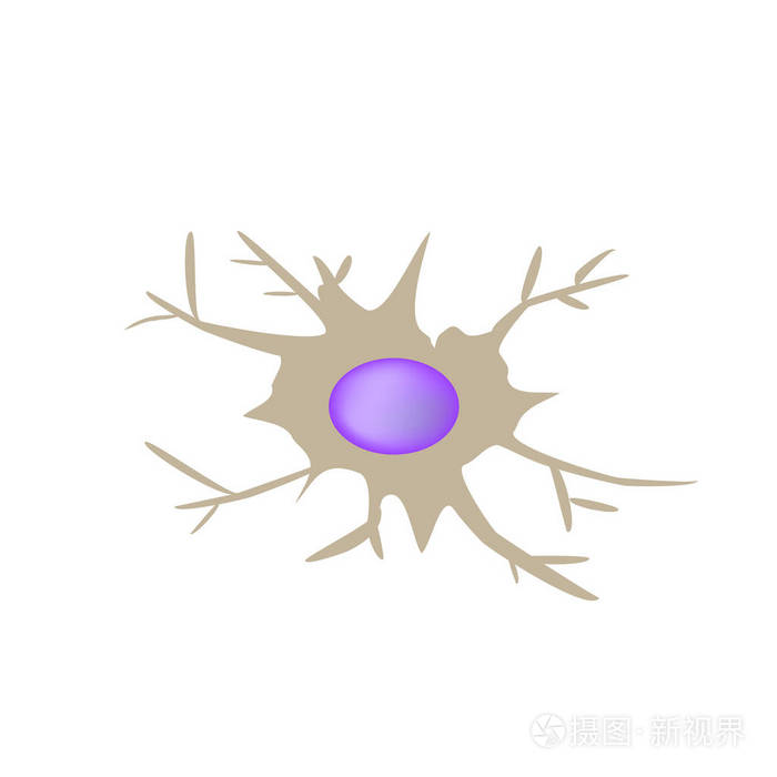 树突状细胞免疫功能信息图表对孤立背景矢量图