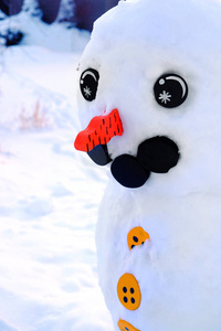 冷淡的眼睛冬天的雪眼睛胡萝卜鼻子冬天堆雪人照片