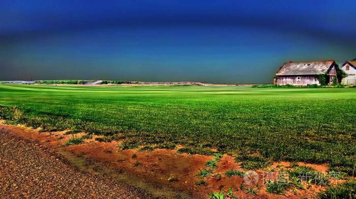 农场景观或农田
