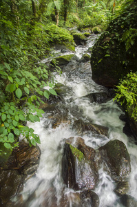 在山上在 Siribh 国家公园泰国森林瀑布