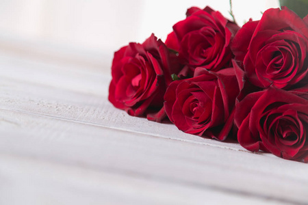 美丽的玫瑰，情人节的概念，明亮的背景