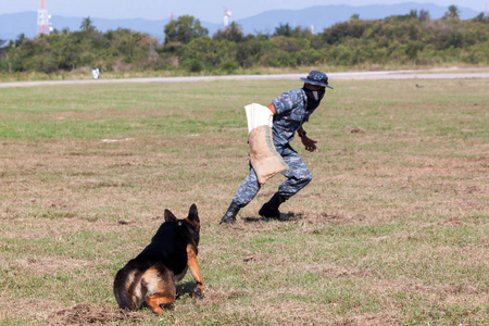 士兵从 K9 狗单位