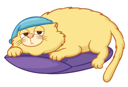 在晚上的猫懒懒猫晚上盖躺在枕头卡通插图照片