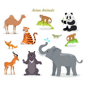 亚洲动物动物物种。骆驼，熊猫，老虎