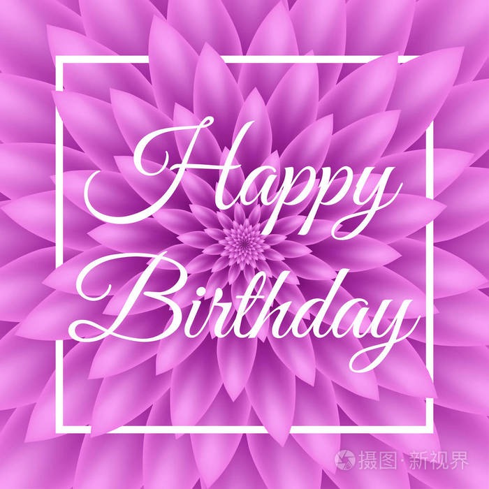 快乐的生日贺卡可爱贺卡紫色菊花在背景中