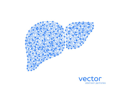 人体肝脏的抽象矢量图