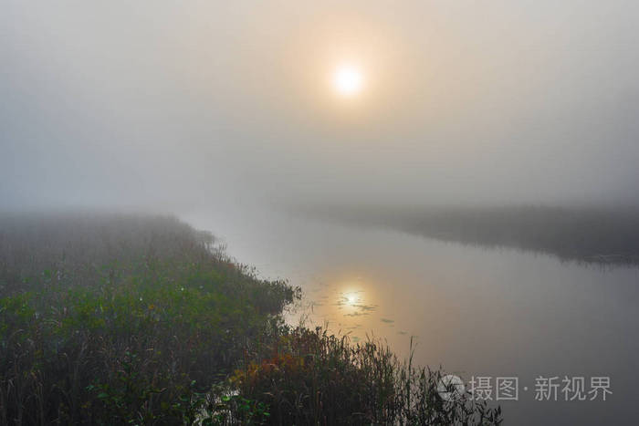 雾蒙蒙的夏季早晨在沼泽湿地上的日出