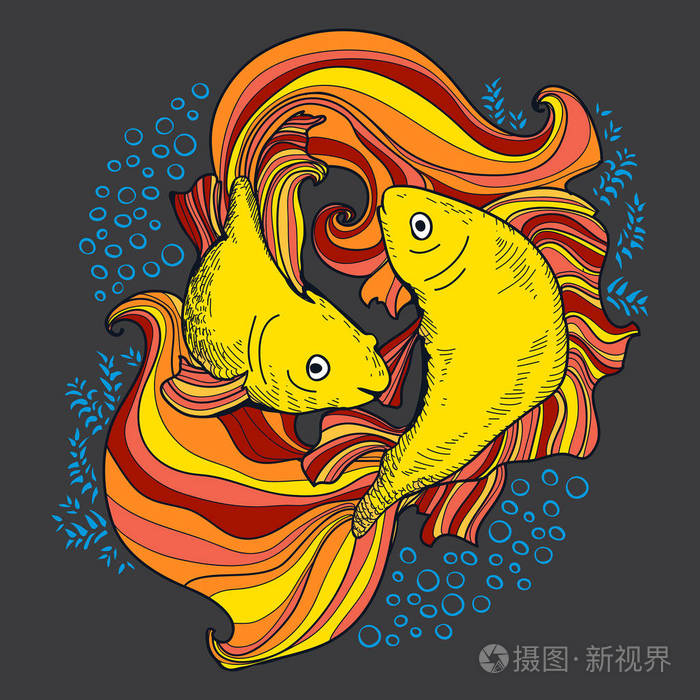 矢量黄金鱼插画-正版商用图片0x4lqj-摄图新视界