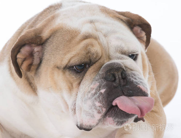 ˹Ĺ_ȥι˵Ϻ_˹ϵιȥ