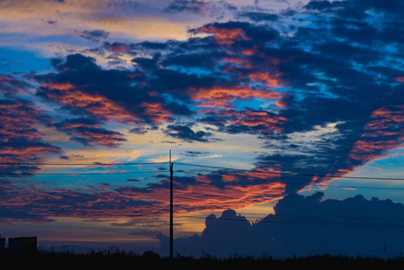 树的剪影。美丽的夕阳的天空 颜色和黑 t