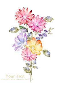 水彩插图的花