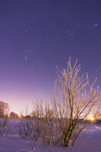 满天的星星下雪的冬天村图片