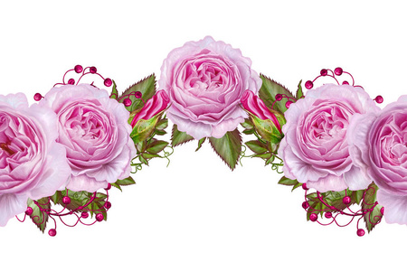 水平的花边框。模式，无缝。玫瑰 茶花 精致美丽的花朵，绿色的叶子的花花环。白色背景上孤立