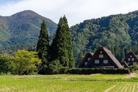 传统和历史日本村