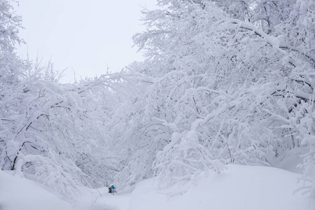 冬天下雪景观与道图片