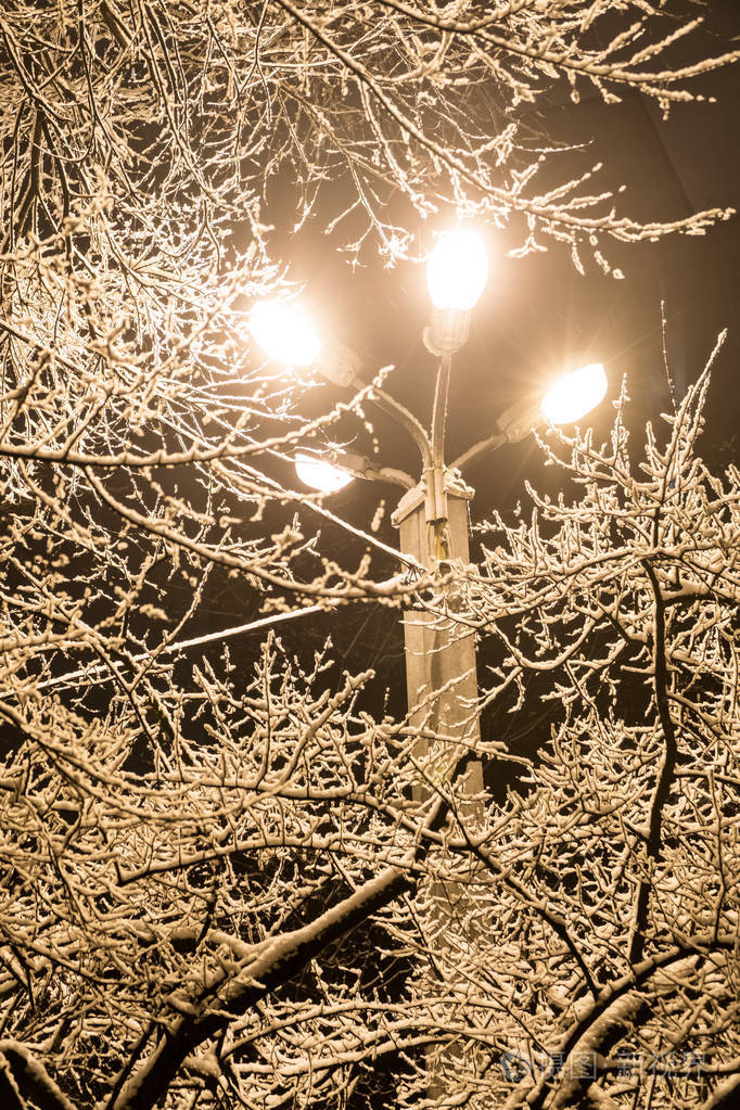 冬季公园的路灯