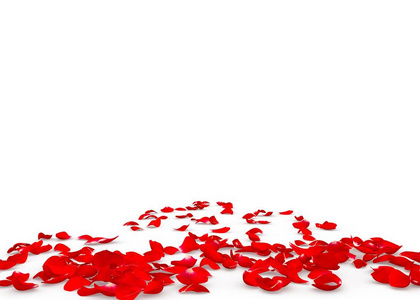 红色的玫瑰花瓣散落在地板上