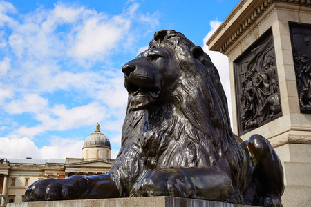 在英国伦敦特拉法加广场狮子