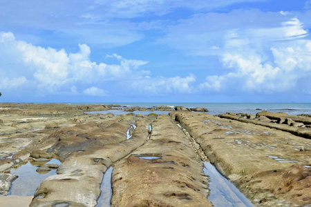 大石海滩的婆罗洲提示