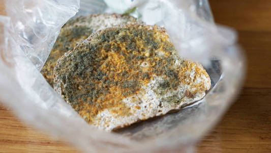绿色, 橙色和白色孢子发霉的面包在塑料袋在 wo